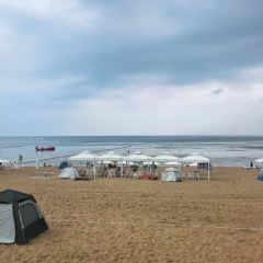 趕海歸來·肥蛤·海鮮燒烤（韓樂坊店）張用戶圖片