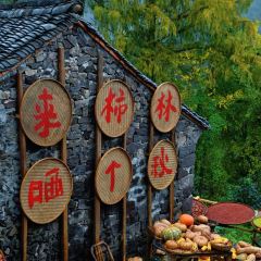 Yi jue Country Food (yongjiashuyuan) User Photo