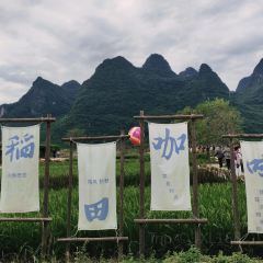 一尺稻田咖啡 User Photo