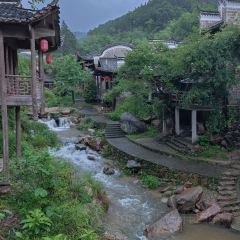 望月楼餐厅 User Photo