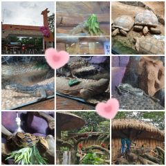 GANJIAJIE LEMON DUCK User Photo