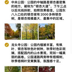 咖咖火锅(老店) 여행 사진