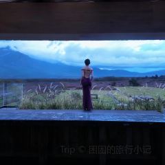 巋然·觀雪山雲海丨曠野星空 度假飯店（白沙古鎮店）·巋然雪山花園咖啡張用戶圖片