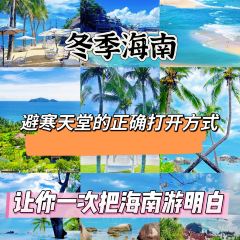 dan jia yu pai User Photo