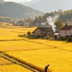 WAN XI REN GU TU CAI GUAN User Photo