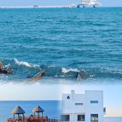 海岛日记(养马岛店) User Photo