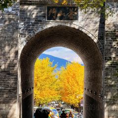 IN MY HEART User Photo