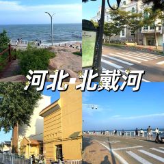 海星辰海鲜大排档(黄金海岸店) User Photo