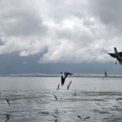 大理安汋海景酒店·餐厅 User Photo