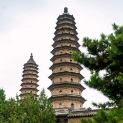 清和元(五龙口街店) User Photo