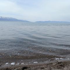 赛里木湖西海盛宴民宿·餐厅 User Photo