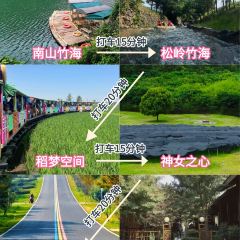 紫藤园·天目湖大鱼头(南山竹海店) User Photo
