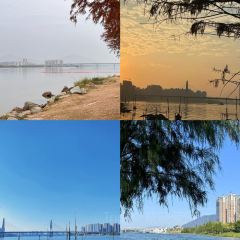 彭家私厨 User Photo