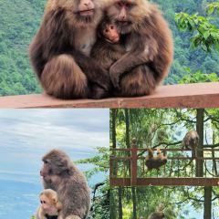 牛满堂土菜馆·跷脚牛肉(峨眉店) User Photo