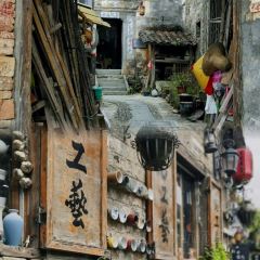 陶姐冷粉張用戶圖片