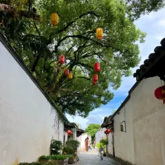 唐沫茶兮（世歐北區3樓店）張用戶圖片