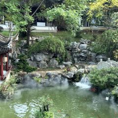 JUBILEE GARDEN User Photo