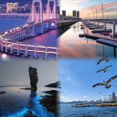 SEAF0OD MASTER User Photo