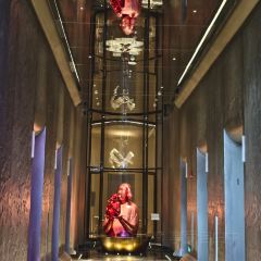 WOOBAR 여행 사진