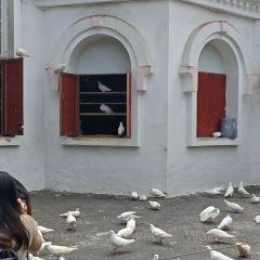 鞠婆婆·绵绵冰·凉糕·手工冰粉(嘉兴路店) User Photo