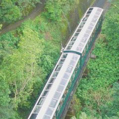 Under Bridge Spicy Crab User Photo