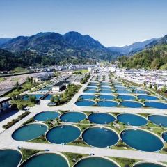 竹林小院(帅乡大道店) 여행 사진