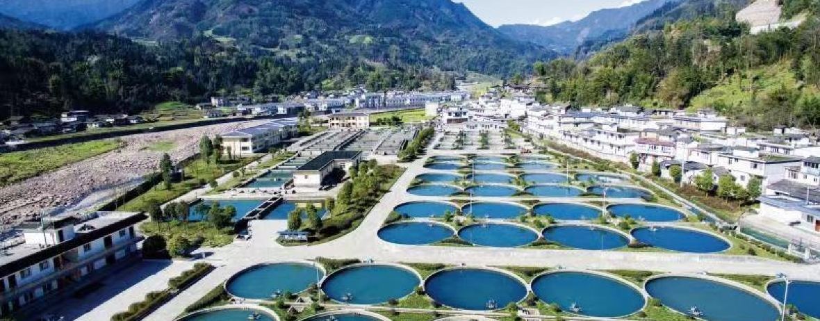 竹林小院(帅乡大道店)