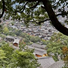 猪圈咖啡屋 User Photo