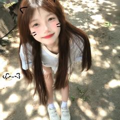 梧桐树 User Photo