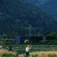 椿野咖啡馆(和顺店) User Photo