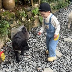 猪圈咖啡屋 User Photo