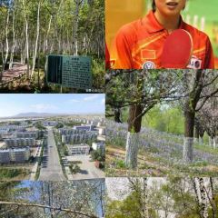 SHAN QING SHUI XIU LU SE CAN TING User Photo