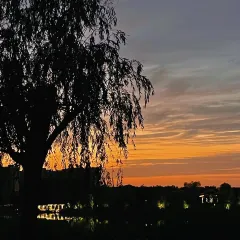 博山菜館張用戶圖片