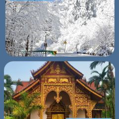 A Ma de su you cha User Photo