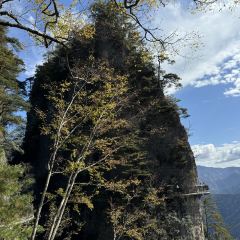 紫金饭店(容邦·太平洋购物中心西南) User Photo