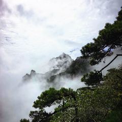 三清老媽菜（金沙店）張用戶圖片