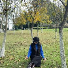 YING ZI YOU ZHA User Photo