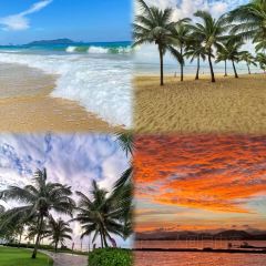 dan jia yu pai User Photo