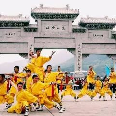 ZHENGLAODA User Photo