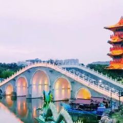 ZHENGLAODA User Photo