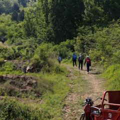 PIAN AI RESTAURANT User Photo