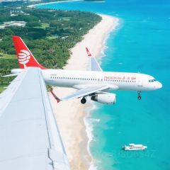 dan jia yu pai User Photo