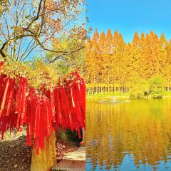 绘璟轩·不醒人室 User Photo