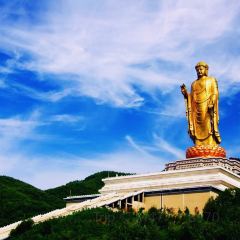 ZHENGLAODA User Photo