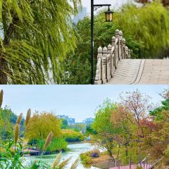 LAO SAN YANG User Photo