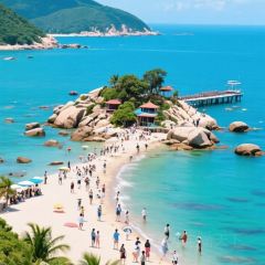 dan jia yu pai User Photo