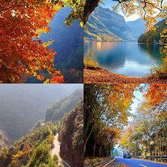 洪池嵌糕店 User Photo