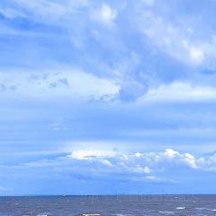 胜利饭店(沈荡店) User Photo