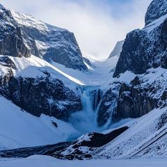 Shunji Traditional Cold Noodles User Photo