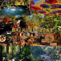 老炳·七叢松甘草水果張用戶圖片